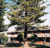 Eastern Beach Holiday Units - Accommodation Melbourne