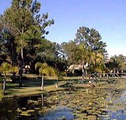 Twin Lakes Hotel - Melbourne 4u