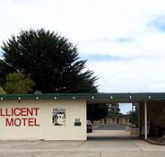 Millicent Motel - Accommodation Melbourne