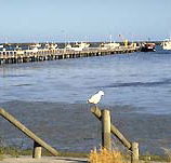 Seaview Motel and Holiday Units - Accommodation Melbourne