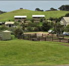 Ace Hi Riding Ranch - Accommodation Melbourne