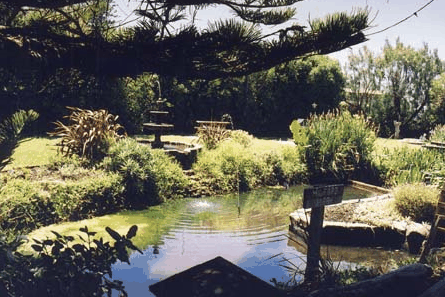 Bayside Gardens - Accommodation Melbourne