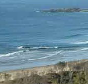 Beach Haven Apartments - Accommodation Melbourne