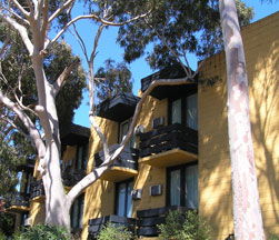 Pathfinder Motel - Accommodation Melbourne 1