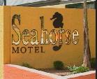 Seahorse Motel - Melbourne 4u 1
