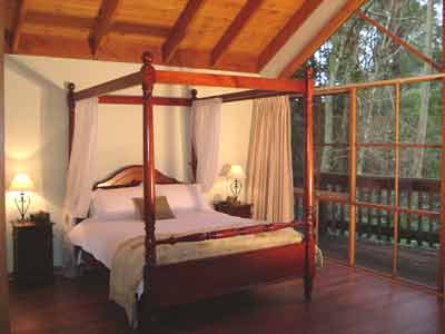 Belle Le Vie (Luxury B&B) - Accommodation Melbourne 2