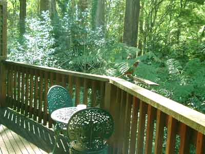 Belle Le Vie (Luxury B&B) - Accommodation Melbourne 4