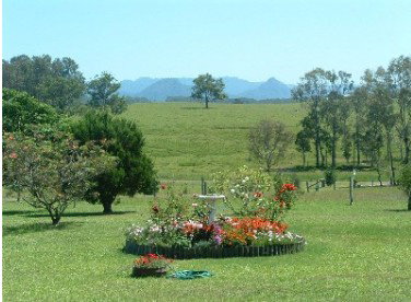 Tallowood Ridge Farmstay B - Accommodation Melbourne 3