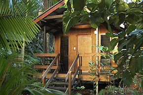 Cape Tribulation QLD Accommodation Melbourne