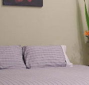 Stingo Hotel - Accommodation Melbourne