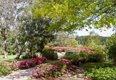 Bilpin Resort - Accommodation Melbourne 2