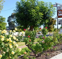 Narrogin Motel