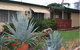 Ravensthorpe Motel - thumb 1