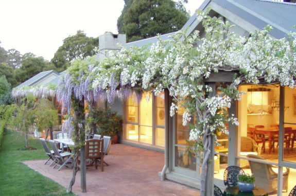 Mount Tomah NSW Accommodation Melbourne