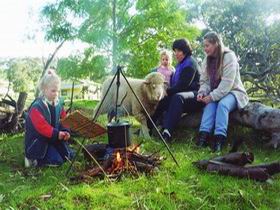 Sleepy Hollow Farm Cottage - Accommodation Melbourne 0