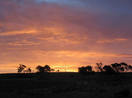 Willangi Bush Escapes - Accommodation Melbourne 1