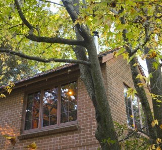 Crafers Cottages - Cherrytree Cottage - Accommodation Melbourne 4