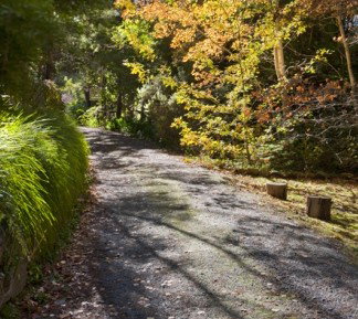 Crafers Cottages - Cherrytree Cottage - Accommodation Melbourne 5