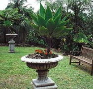 Bangalow Retreat - Accommodation Melbourne