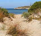 Marion Bay Caravan Park - Accommodation Melbourne 5