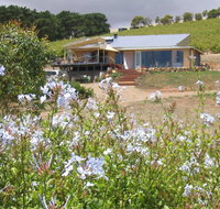 The Blue Grape Vineyard Accommodation - Accommodation Melbourne