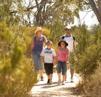 Long Island Caravan Park Cabins - Accommodation Melbourne