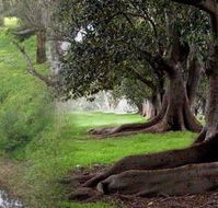 Rivergum Cottage - Accommodation Melbourne