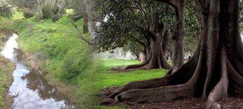 Rivergum Cottage - Accommodation Melbourne 0