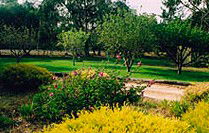 Naracoorte Cottages - Pinkerton Hill - Accommodation Melbourne 2