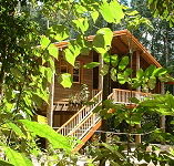 Rivers Edge Rainforest Retreat - Accommodation Melbourne
