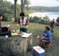 Fortescue Bay Camping Ground - Accommodation Melbourne