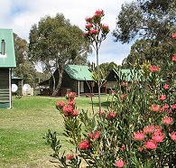 Derwent Bridge Chalets and Studios - Accommodation Melbourne