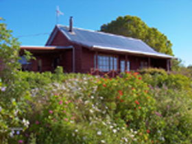 Black River TAS Melbourne 4u
