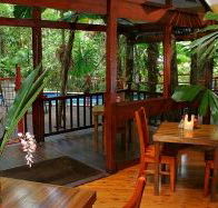 Daintree Wilderness Lodge - Accommodation Melbourne