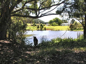 Lapoinya TAS Accommodation Melbourne
