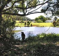 Newry Park Cottage - Accommodation Melbourne