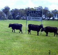 Cluan Homestead - The Managers Residence - Accommodation Melbourne