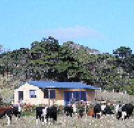 Marrawah Beach House - Accommodation Melbourne
