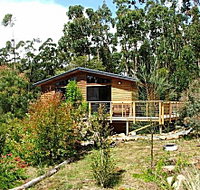 Southern Forest Accommodation - Accommodation Melbourne