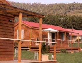 Maydena Country Cabins Accommodation & Alpaca Stud - Accommodation Melbourne 0