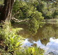 Weldborough Camping Ground - Accommodation Melbourne
