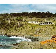 Kabuki by the Sea - Accommodation Melbourne