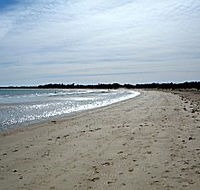 Greens Beach Caravan Park - Accommodation Melbourne