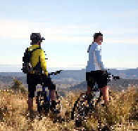 Twin Lakes Trout Fishery - Accommodation Melbourne