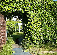 Kirra Guest House - Accommodation Melbourne