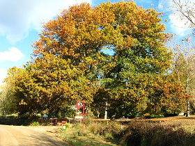  Accommodation Melbourne