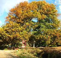 Red Rooster Host Farm - Accommodation Melbourne