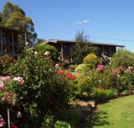 Mole Creek Holiday Village - Melbourne 4u