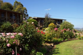 Mole Creek Holiday Village - Accommodation Melbourne 0