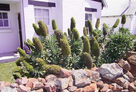 Lester Cottages Complex - Accommodation Melbourne 2